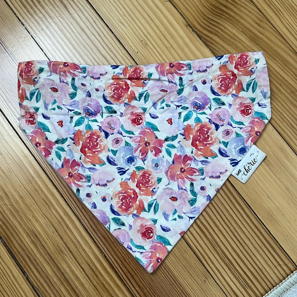 Reversible OTC Dog Bandana
